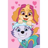 Paw Patrol lasten peitto Paw Patrol PP518, 100x150 cm