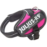 Julius-K9 Idc Power Baby Koiran Valjaat