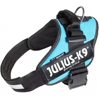Julius-K9 Idc Power Koiran Valjaat