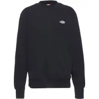 Dickies Summerdale Collegepaita