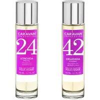 Caravan Nº42 & Nº24 Hajuvesi