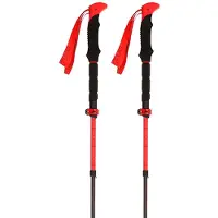 Viking Sports Kije Viking Spider FS Black/red 130 cm