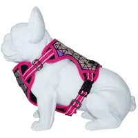 Freedog Boreal Koiran Valjaat