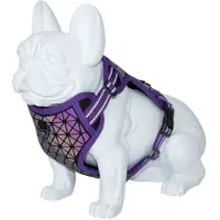Freedog Boreal Koiran Valjaat