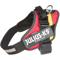 JULIUS K-9 Idc Power Koiran Valjaat