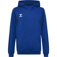 Hummel Hmlauthentic Pl Hoodie Kids - Blue - 140