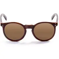 Ocean Sunglasses Lizard Wood Polarisoidut Aurinkolasit