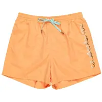 Quiksilver Behind Wave Uimashortsit