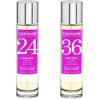 Caravan Nº36 & Nº24 Hajuvesi