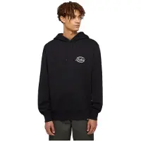 Dickies Globe Huppari