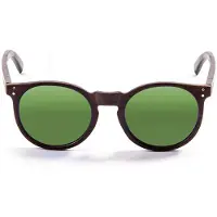 Ocean Sunglasses Lizard Wood Polarisoidut Aurinkolasit