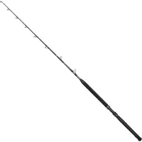 Penn Marine Brigade Trolling 6Ft6/1.98M M 20-40Lb 1Sec Conv hyrräkelavapa