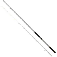 Daiwa Bg Tenya Game Pohjakalastusvapa