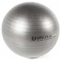 Olive Fitness Fitball