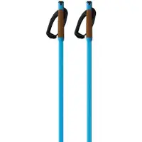 Fischer Storm Gtx M Kävelysauvat