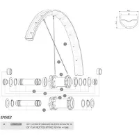 Mavic Deemax Elite/e-xa Elite 29 2019 Front Pinnat 14 Yksiköt