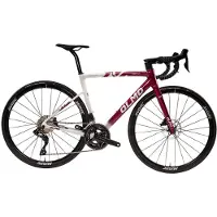 Olmo Nerax 105 Di2 2024 Rennrad