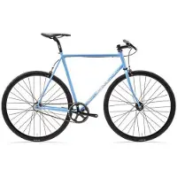 Cinelli Gazzetta 2021 Fahrrad