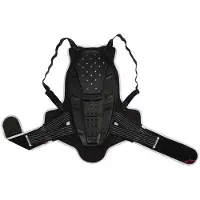 Alpinestars Bionic Rückenprotektor