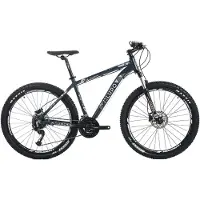 Lupo Raptor 1 29´´ Mountainbike