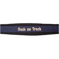 Back on track Werano riimu