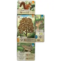 Lookout Games Forest Shuffle Lautapeli