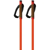 Fischer Storm Gtx L Kävelysauvat