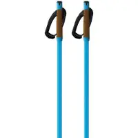 Fischer Storm Gtx L Kävelysauvat
