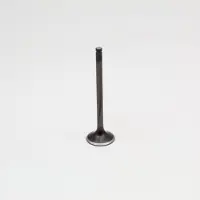 ProX Honda Xr600r 93-00 + Xr650l 93-22 Vc16541 Pakoventtiili