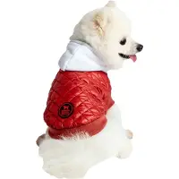 Freedog Fizz Koiran Takki