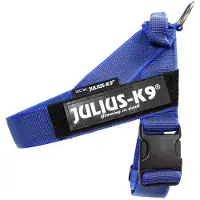 Julius-K9 Idc Norwegian Koiran Valjaat