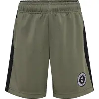 Hummel Odin Shortsit