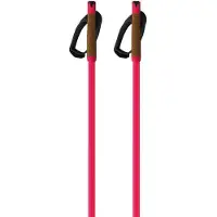 Fischer Storm Gtx L Kävelysauvat