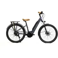 Granville E-absolute 15 Acera Elektrofahrrad