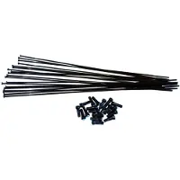 Vision Team 81 Sl 231-242 Mm Pinnat