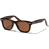 Ocean Sunglasses Walker Aurinkolasit