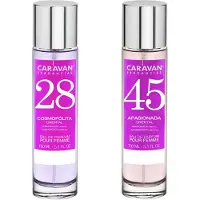 Caravan Nº45 & Nº28 Hajuvesi