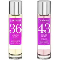 Caravan Nº43 & Nº36 Hajuvesi
