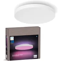Philips Hue Datura S pyöreä kattovalaisin 48 W