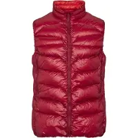 Nordisk Alto Liivi