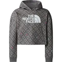 The North Face Girls' Light Drew Peak Printed Hoodie Smoked Pearl TNF Shadow XL