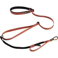 OllyDog Flagstaff Adjustable Spring Leash Clay Koiran talutushihnat ja jälkiliinat One Size
