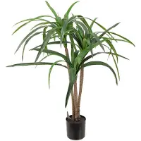 Mr Plant Dracena Palm 90 cm