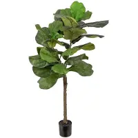 Mr Plant Viuluficus 120 cm