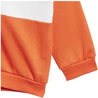 Adidas Tiberio 3 Stripes Colorblock Fleece Verkkapuku