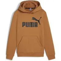 Puma Ess Big Logo Huppari