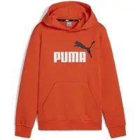 Puma Ess+ 2 Col Big Logo Huppari
