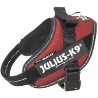 JULIUS K-9 Idc Power Koiran Valjaat