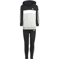 Adidas Tiberio 3 Stripes Colorblock Fleece Verkkapuku