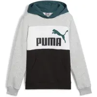 Puma Ess Block Huppari